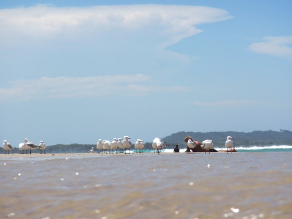 A great Aussie summer holiday