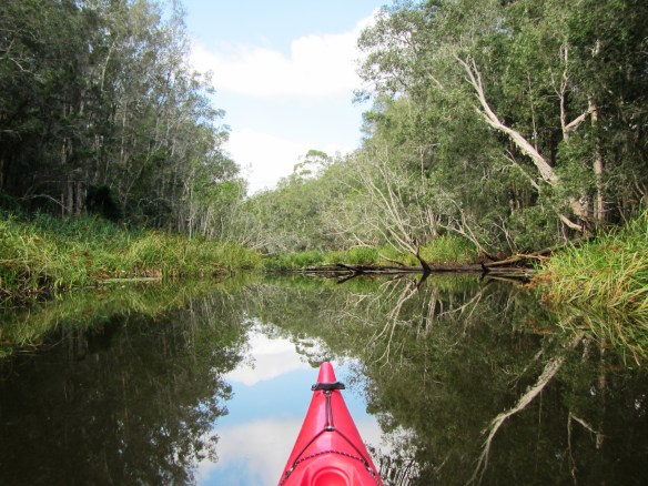 The Maigical Maria River