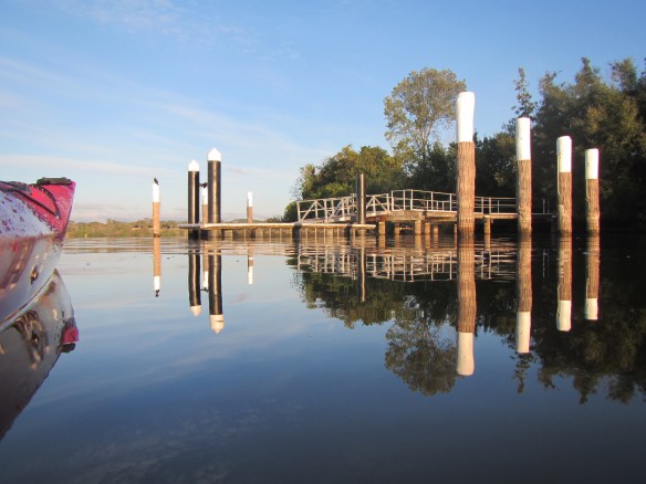Serene, peaceful and calm are only a few words to describe what it was like on the water this morning.