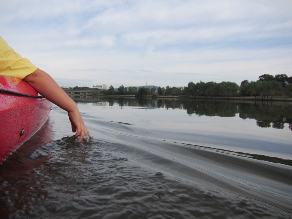 How can you not resist dragging your hand through the water 