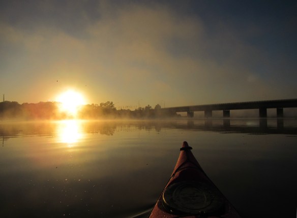 How lucky are we to have this on our own door step