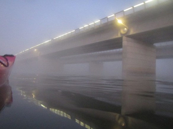 6.13am: Kings Avenue Bridge shroud in mist.