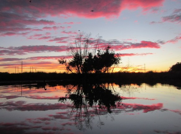 6.24am: Now we are transforming into a pastel dawn.