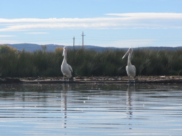 The Wetlands Check Point.