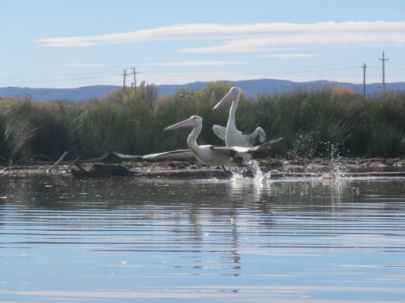 The morning was off to a flying start.