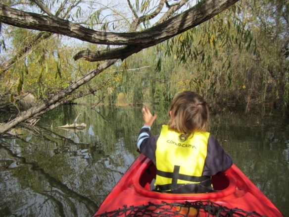 You can't help but want to touch everything.