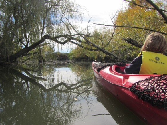 Threading our way through