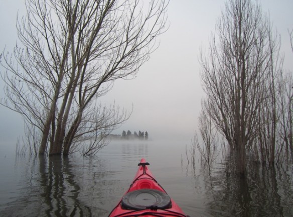 I also ventured down to Lake Jindabyne for my daily paddle and I was blown away.