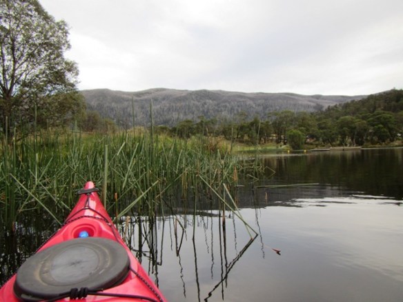 The Red Chilli even found an Easter egg amongst the reeds. 