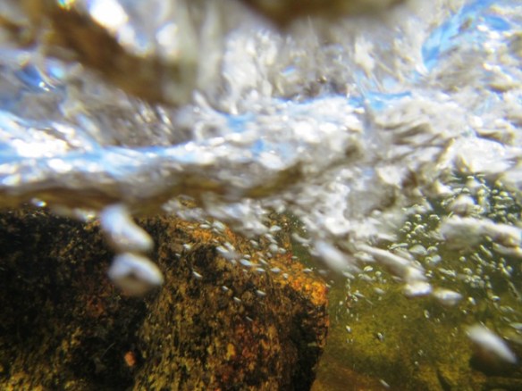 Then down the rapids.