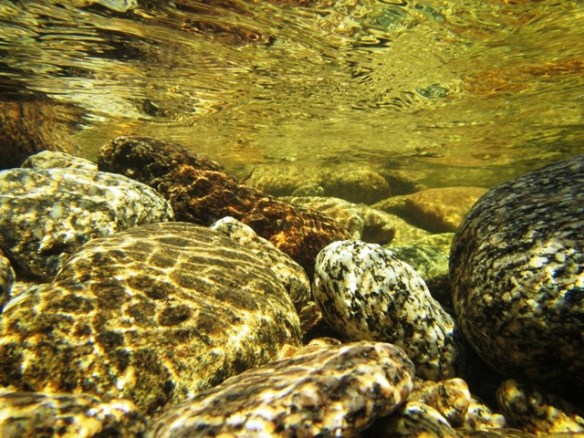 I thought it would be a good idea to see whats under water as well. 