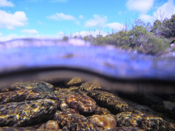 It amazes me how thing can look so different.