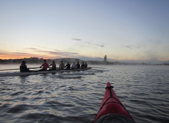 The morning scull's flying past.