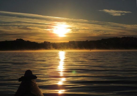 But it was great to see so many other people out and about taking it all in 