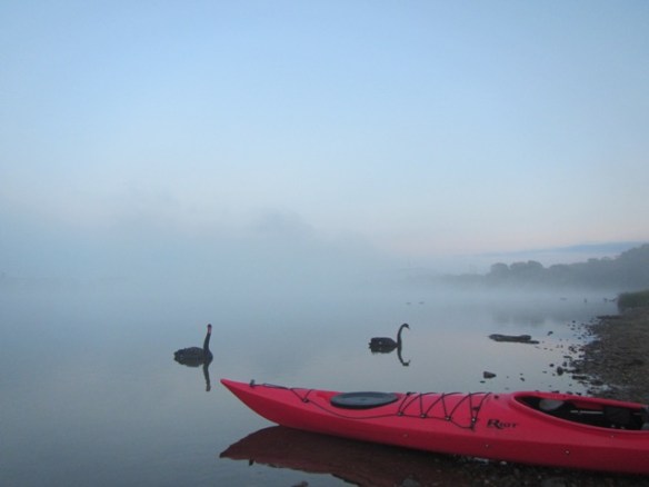 Misty morning are the best