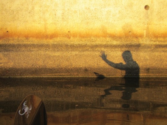 I always return back happy and relaxed. I hope that you have enjoyed this morning’s snap shots from our Sunday morning paddle!