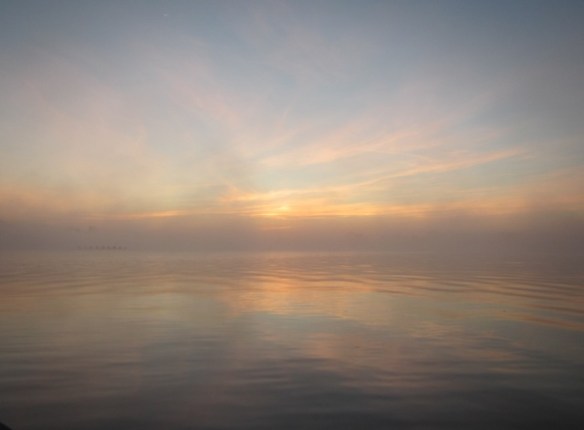 I love a misty start to the day.