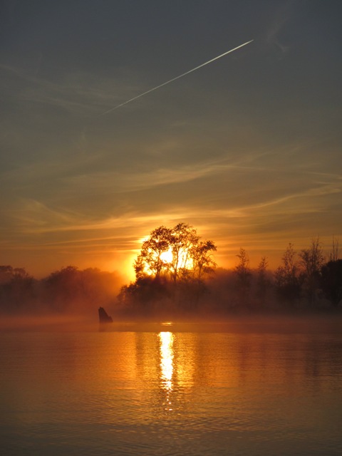Shoot for the moon because if you miss you will land amongst the stars.