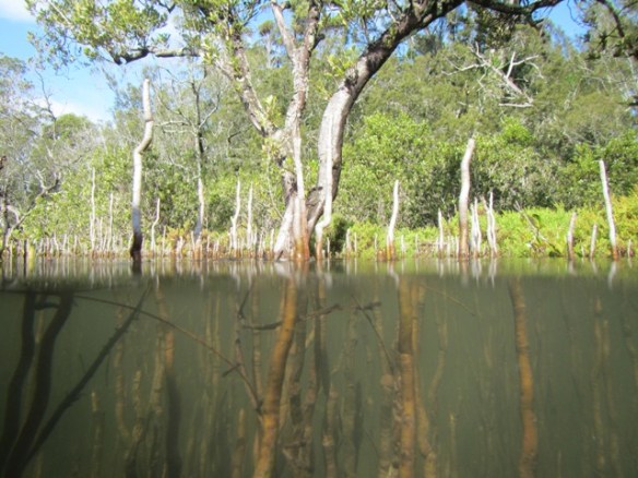 The worlds of Tuross Head