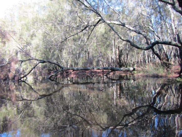 Where the reflections and lighting were near perfect. 