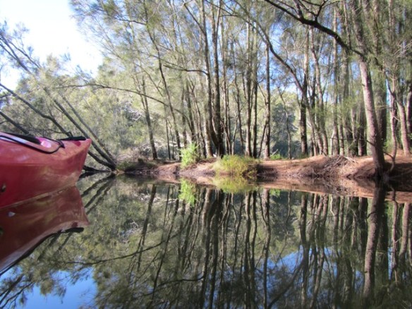 I discovered this small secluded session of brilliance.