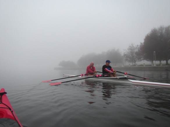 Even the scullers slowed down to experience it. 