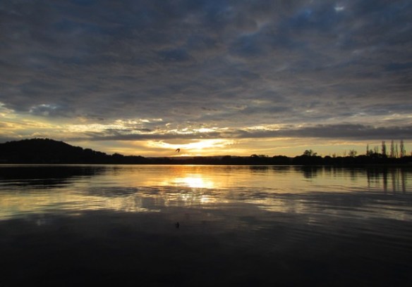 ???????????????????????????????