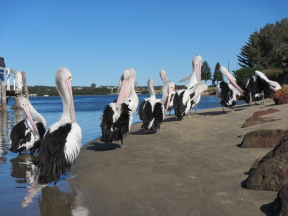 I just loved hanging out with the locals. They were so comfortable with me!