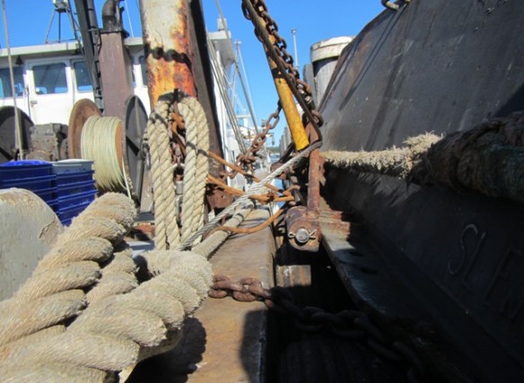 If only they could talk