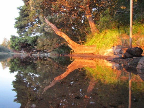 Crooked River Reflections