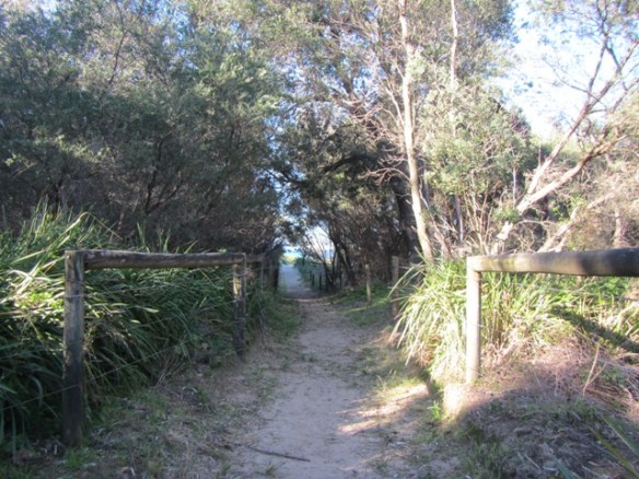 A short stroll down here and soon you are on Seven Mile Beach.