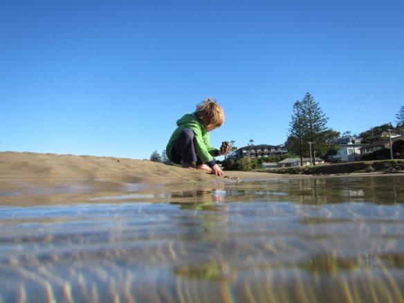 There is never a dull moment.