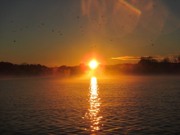 Burning through the haze to put a bit of warmth on my face.