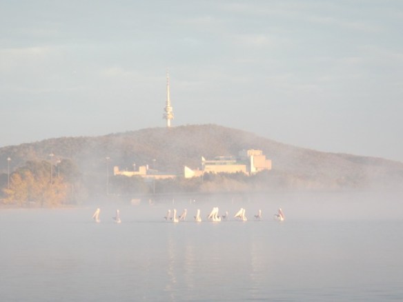 The Pelicans were heading over to say hello