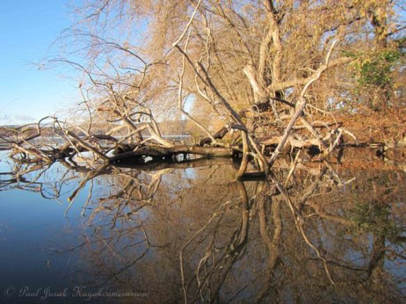 What a morning out there....love the serene Sunday experience. 