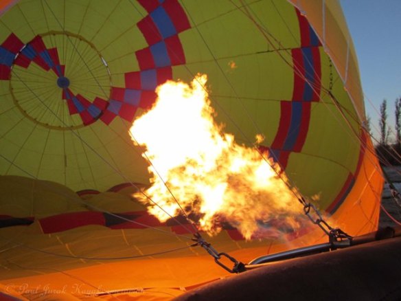 Looks great in the pre dawn light 