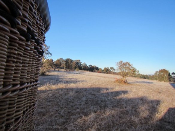 Coming in for a super smooth landing 