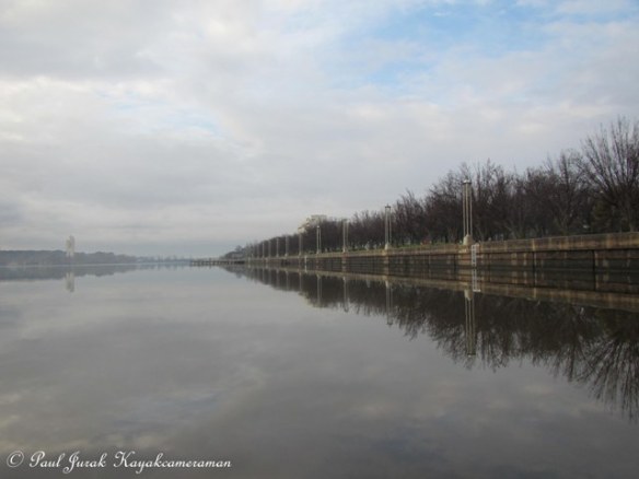 Manchurian Pear Perspective. 
