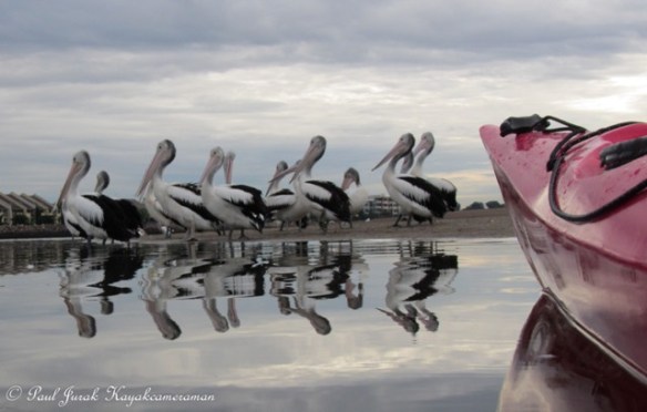 Hanging out with the Newcastle locals