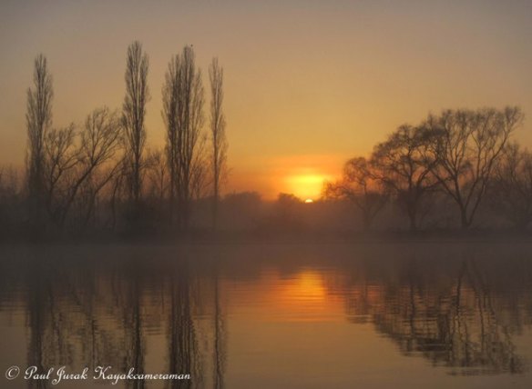 My favourite moment  that I love to see each day.