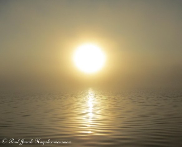 7.30am: Then the fog rolled in. 