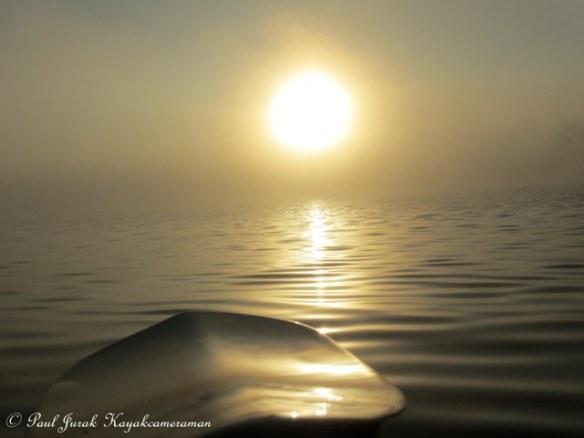 The surrealism has begun!