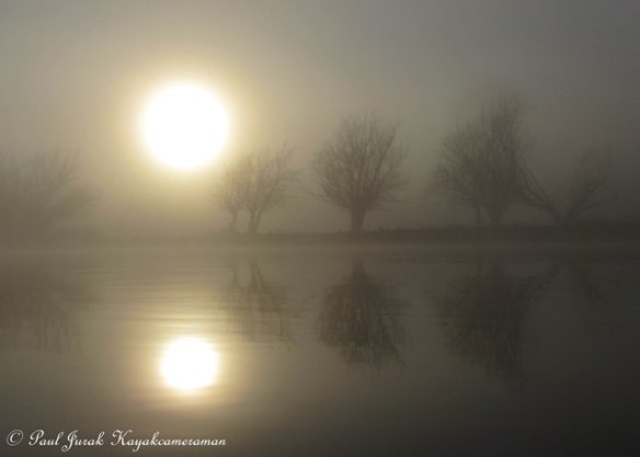 Surreal Saturday was in full flight and I was in no hurry for it to end. 