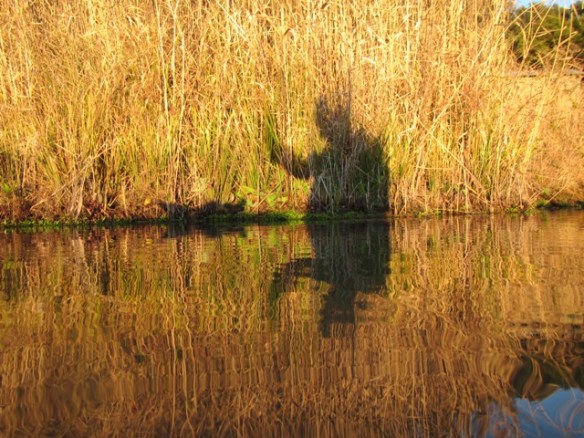 Silhouette self...couldn't help my there :) 
