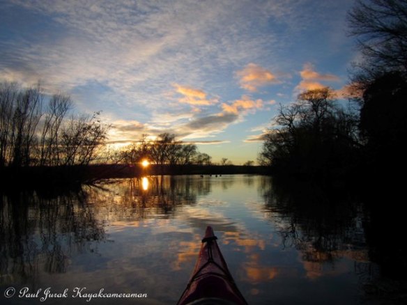 So into the wetlands I went.