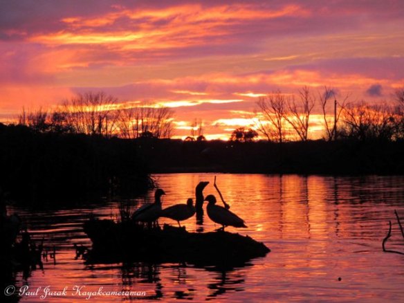 No one wanted to duck and hide when there is a light show like this taking place