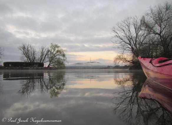 I think this is why they call Canberra the 'Bush Capital'
