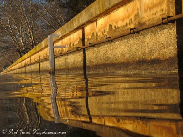 Golden reflections from the foreshore