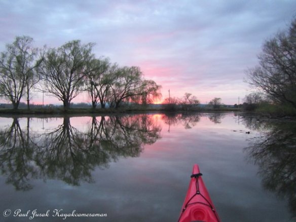 6.16am: Paddling on a sheet of glass. 