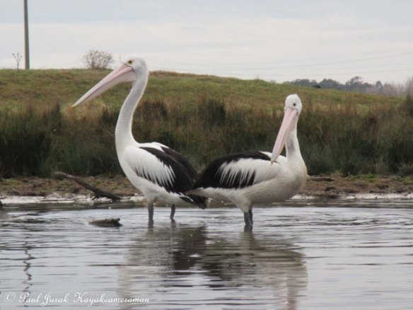 The locals Eb and Zeb 